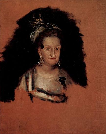 Francisco de Goya hermana de Carlos III china oil painting image